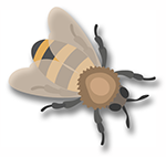 Honey bee icon