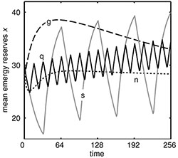 Dieting model graph