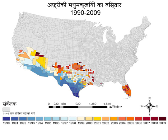 Map showing the spread of Africanized honey bees in the United States.