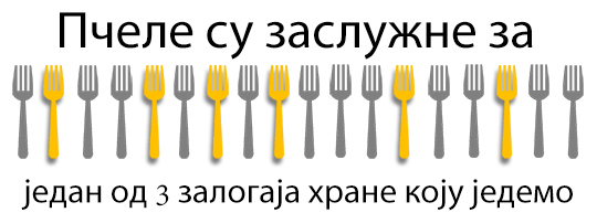 1 in 3 bites we take of food is linked to bees - serbian