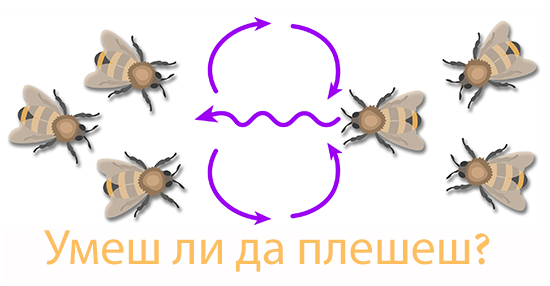 Illustraton showing a honey bee with the diagram showing the path for the waggle dance. Other worker bees are watching.