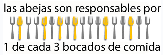 Los iconos de las horquillas muestran que 1 de cada 3 bocados que tomamos de los alimentos está vinculado a las abejas.