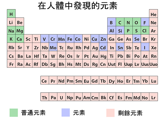 Periodic Table illustration of elements found in human body