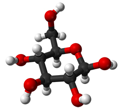 D-glucose stick-and-ball molecular model