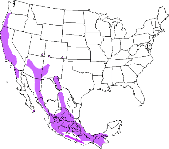 bird range map