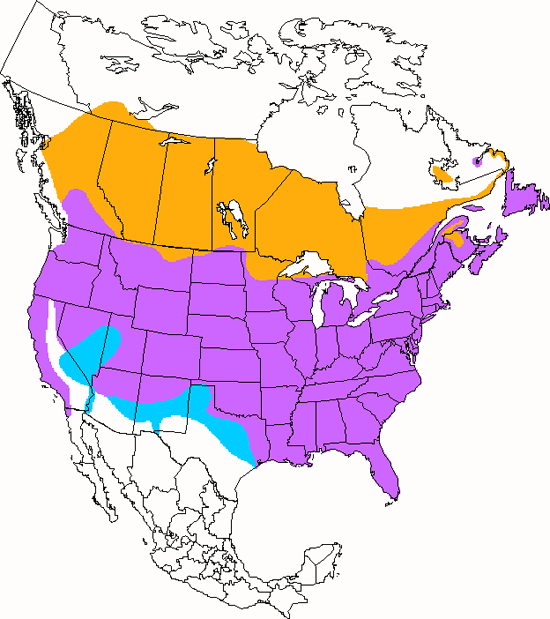 bird range map