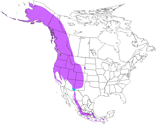 bird range map