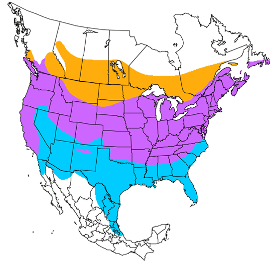 bird range map