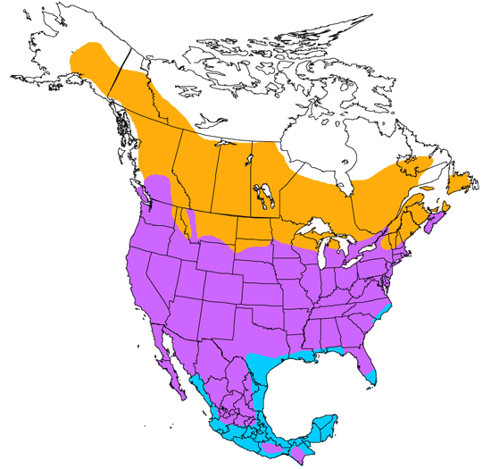 bird range map