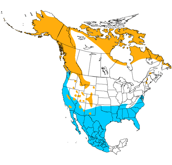 bird range map