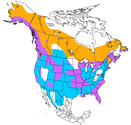 bird range map