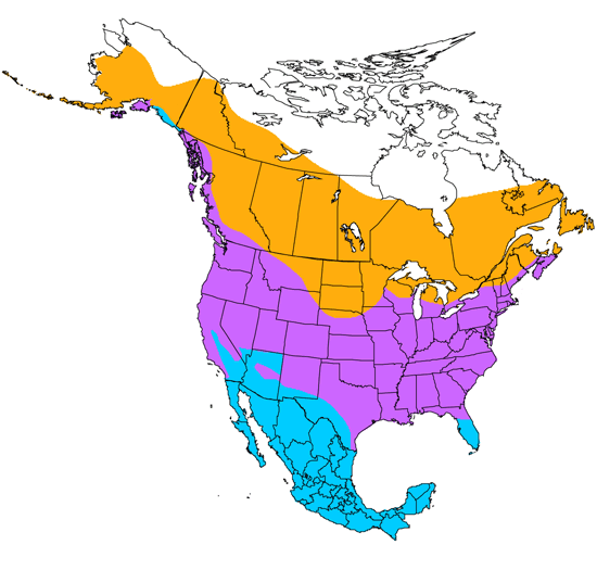 bird range map