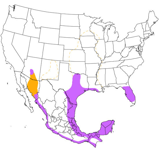 bird range map