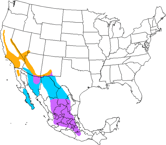 bird range map