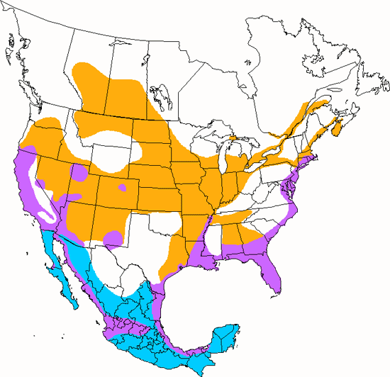 bird range map