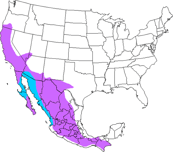 bird range map