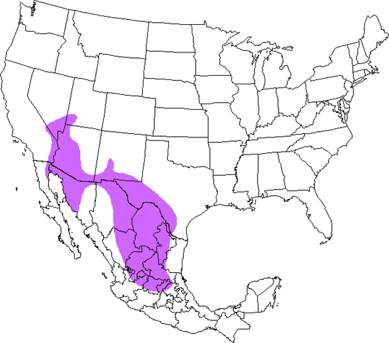 bird range map