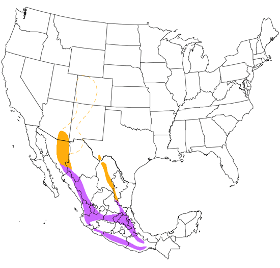 bird range map