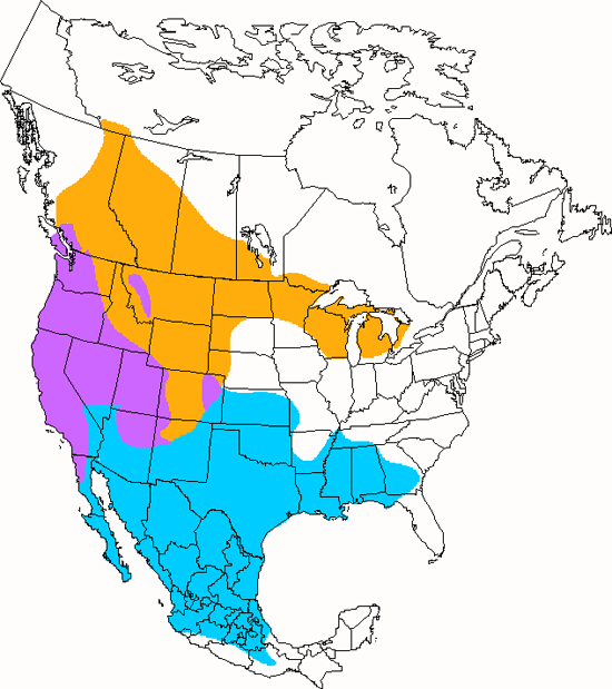 bird range map