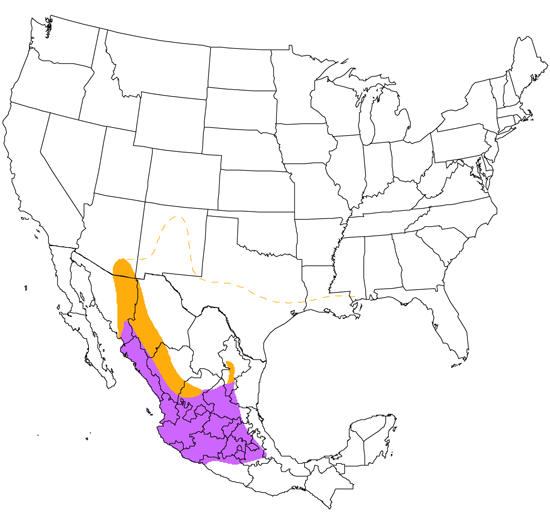 bird range map