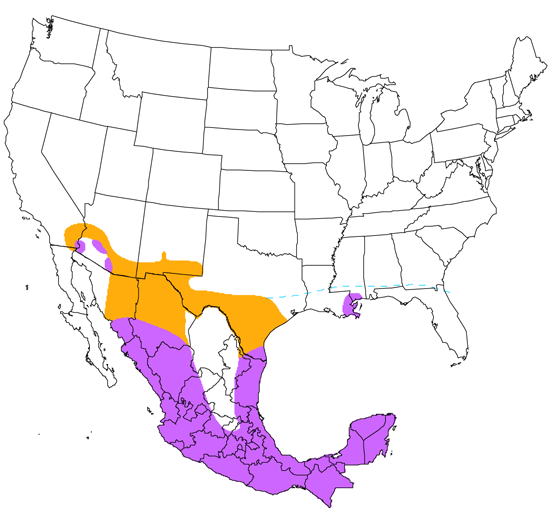 bird range map