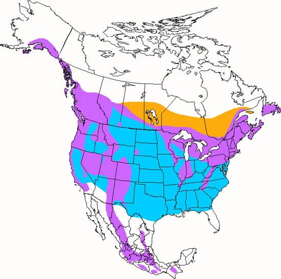 bird range map