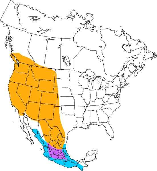 bird range map