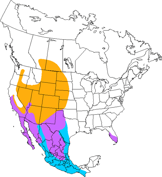 bird range map