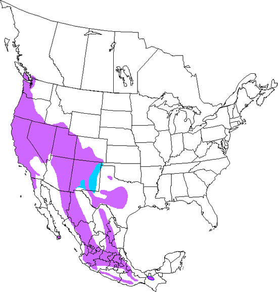 bird range map