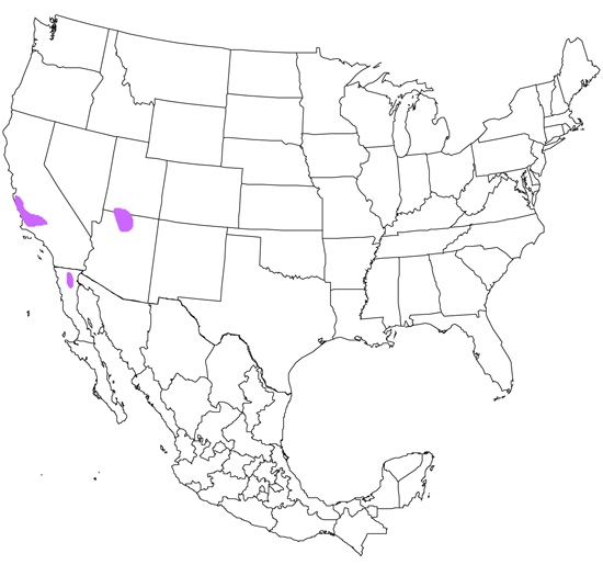 bird range map