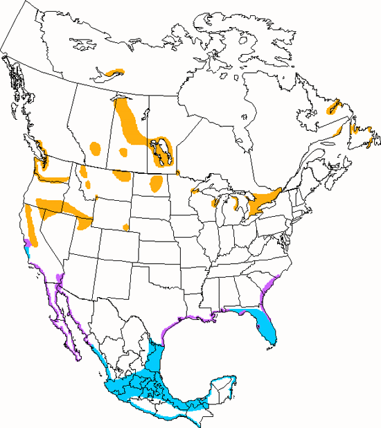 bird range map