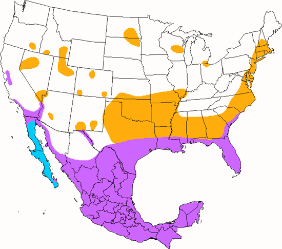 bird range map