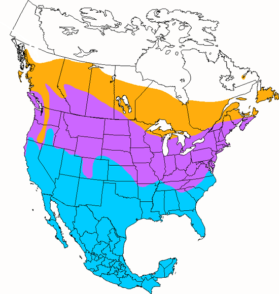 bird range map