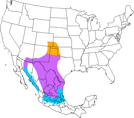 bird range map