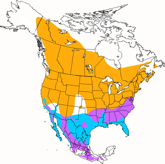 bird range map