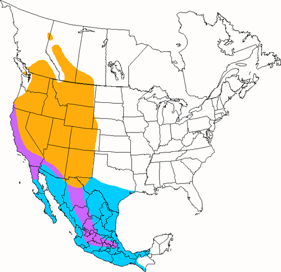 bird range map