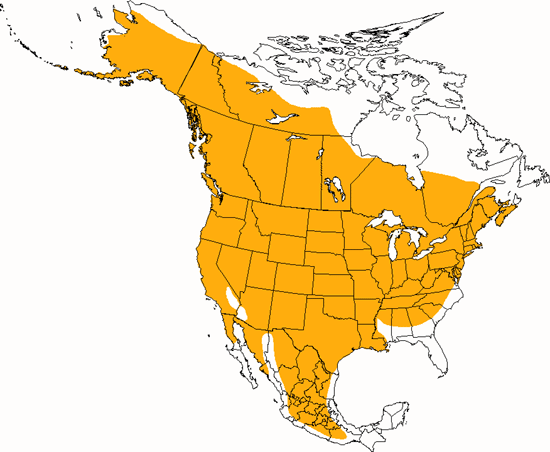 bird range map