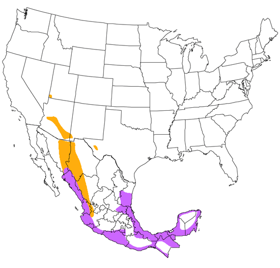 bird range map