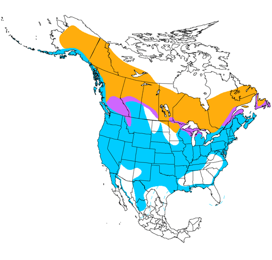 bird range map