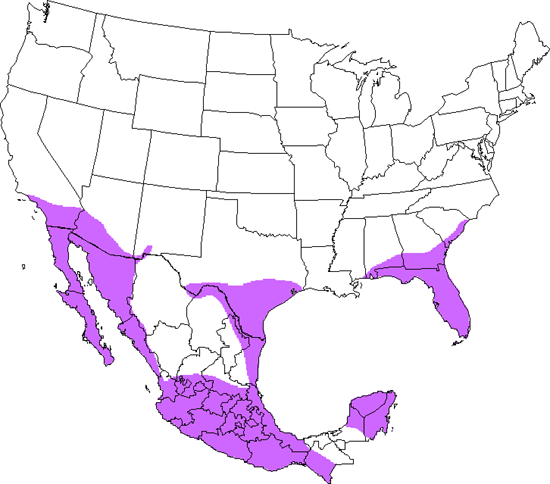 bird range map