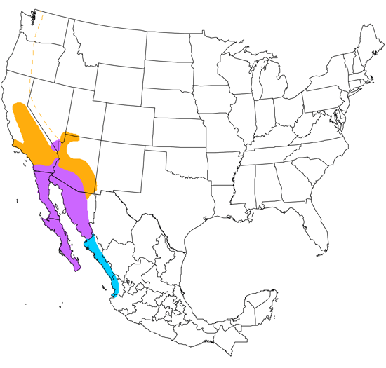 bird range map