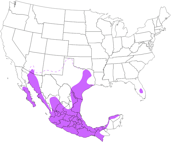 bird range map