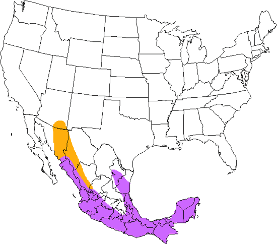 bird range map