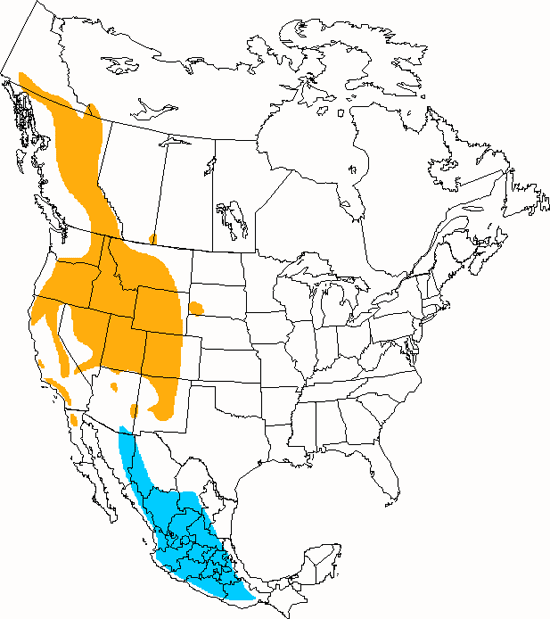 bird range map