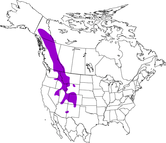 bird range map