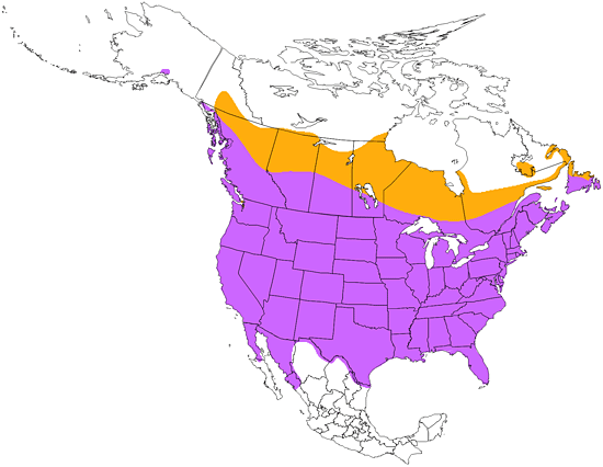 bird range map