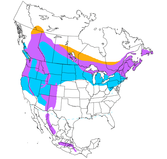 bird range map