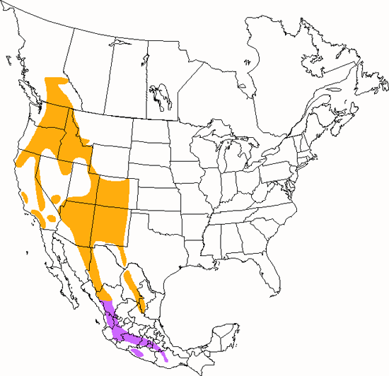 bird range map