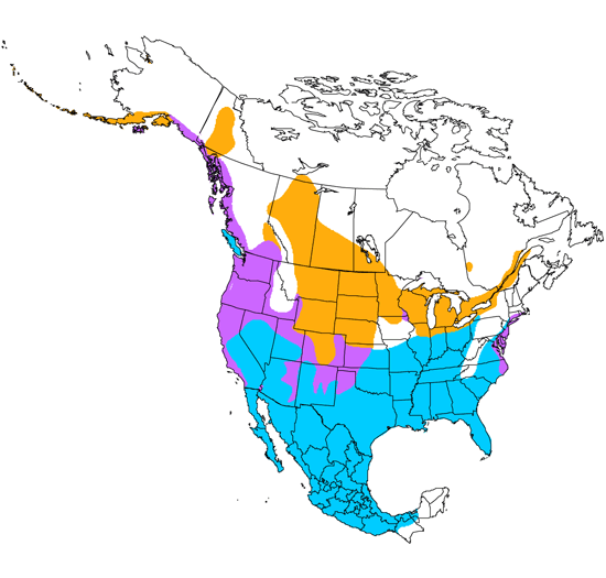 bird range map