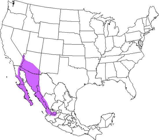 bird range map